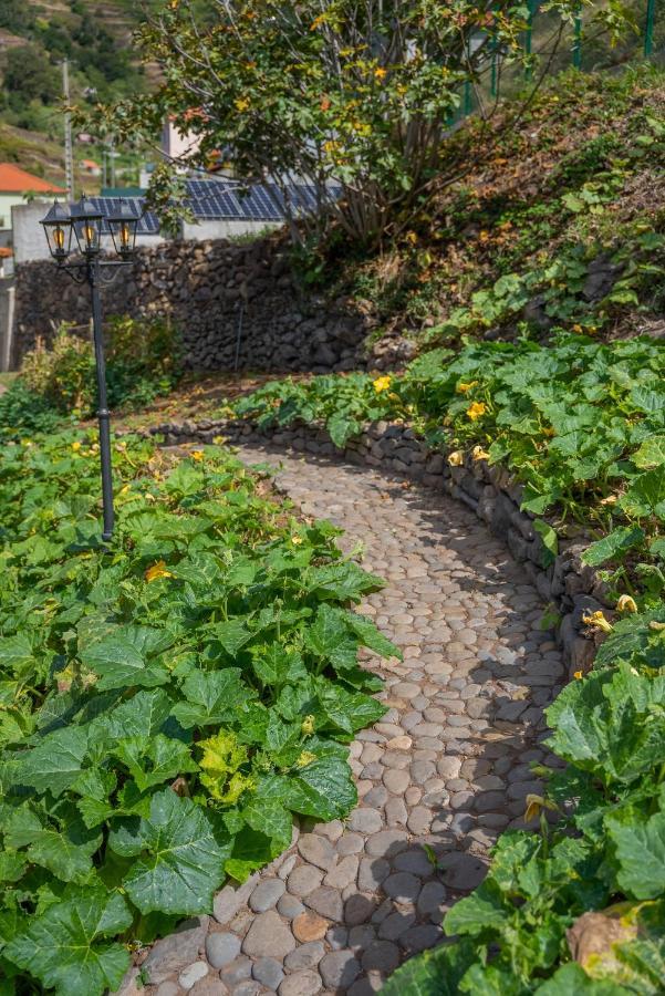 Solar Dos Reis By An Island Apart Ribeira Brava Ngoại thất bức ảnh