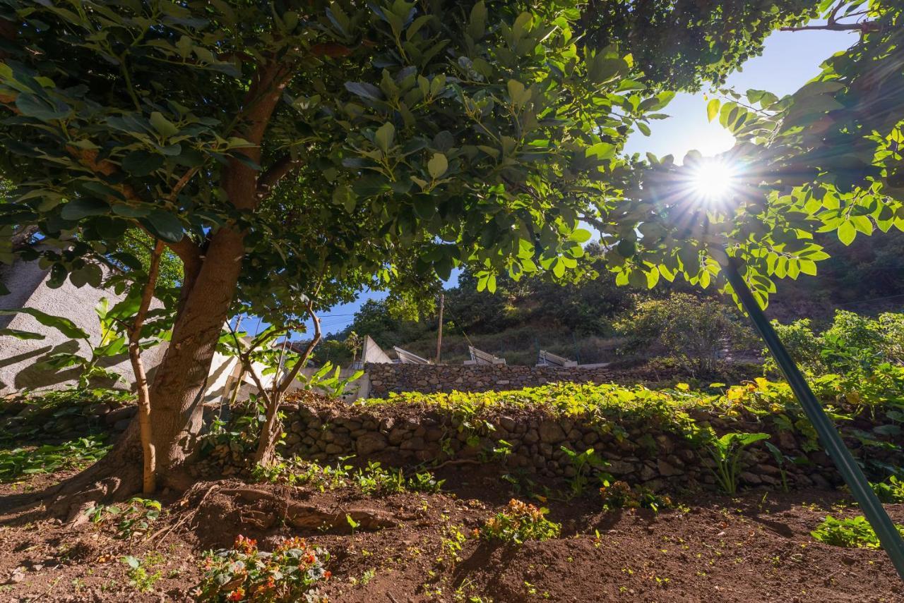 Solar Dos Reis By An Island Apart Ribeira Brava Ngoại thất bức ảnh